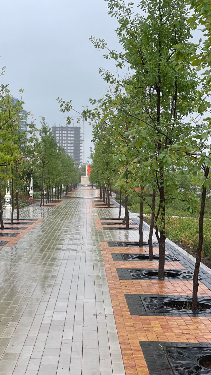 Приствольная решетка для дерева ZKING CRUST 1.2х1.2м Черная в Абакане фото