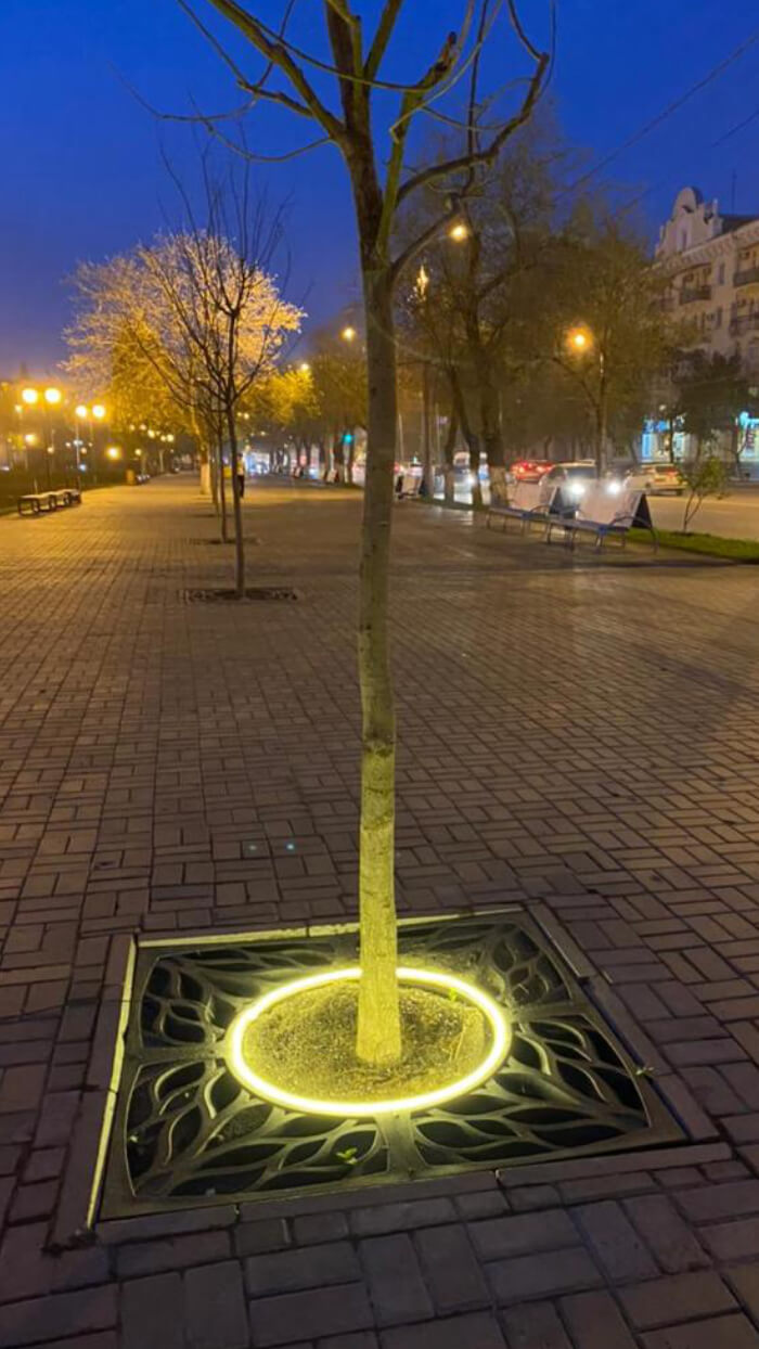 Приствольная решетка для дерева ZKING CRUST 1.2х1.2м Черная в Абакане фото